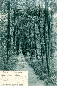 Ohlau. Partie im Park [Dokument ikonograficzny]