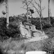 Karkonosze : szałas fotografa przyrody [Dokument ikonograficzny]