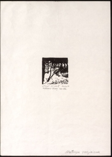 W parku [Dokument ikonograficzny]