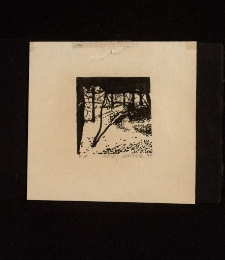 W parku [Dokument ikonograficzny]