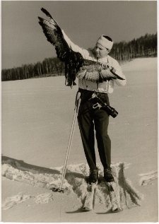 Myszołów zwyczajny - Karkonosze - Goduszyn [Dokument ikonograficzny]