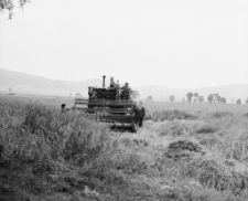 [Jelenia Góra - Cieplice : rolnicy] (fot. 2) [Dokument ikonograficzny]