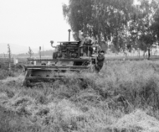 [Jelenia Góra - Cieplice : rolnicy] (fot. 3) [Dokument ikonograficzny]