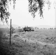 [Jelenia Góra - Cieplice : rolnicy] (fot. 5) [Dokument ikonograficzny]