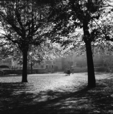 [Jelenia Góra : przy Kościele Podwyższenia Krzyża Świętego] (fot. 4) [Dokument ikonograficzny]