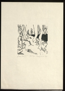 Dusza lasu II [Dokument ikonograficzny]