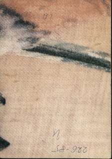 V Międzynarodowy Festiwal Teatru Ulicznego - program [Dokument życia społecznego]