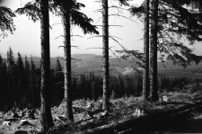 [Karkonosze] (fot. 1) [Dokument ikonograficzny]