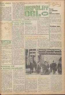 Wsp&oacute;lny cel : gazeta samorządu robotniczego Celwiskozy, 1980, nr 17 (788)