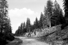 [Karkonosze] (fot. 3) [Dokument ikonograficzny]