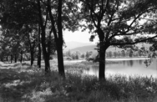 Stawy Podgórzyńskie (fot. 3) [Dokument ikonograficzny]