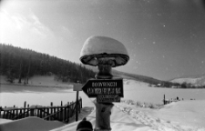 [Karkonoski Park Narodowy] (fot. 4) [Dokument ikonograficzny]