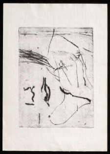 Grafika ML [Dokument ikonograficzny]