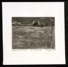 Zaproszenie do oceanu [Dokument ikonograficzny]