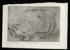 On był mulatem [Dokument ikonograficzny]