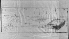 Teinowa tratwa [Dokument ikonograficzny]