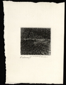 Karkonoryt [Dokument ikonograficzny]