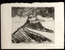 O jagnięciu, wilku i Schaffgotschu [Dokument ikonograficzny]