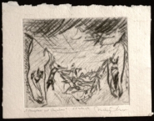 O Mongołach pod Chojnikiem [Dokument ikonograficzny]