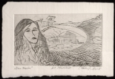 Dom Śląski [Dokument ikonograficzny]