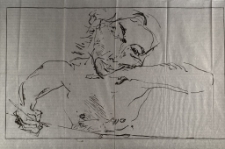 Autoportret zasypiający [Dokument ikonograficzny]