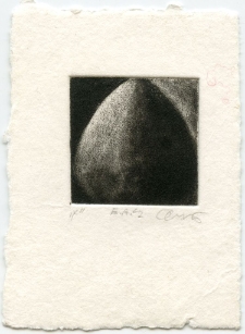 X [Dokument ikonograficzny]