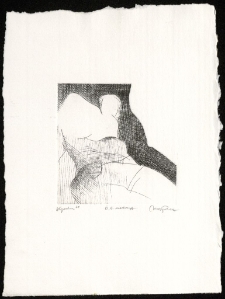 Gocha [Dokument ikonograficzny]