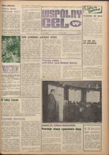 Wspólny cel : gazeta samorządu robotniczego Celwiskozy, 1980, nr 19 (790)