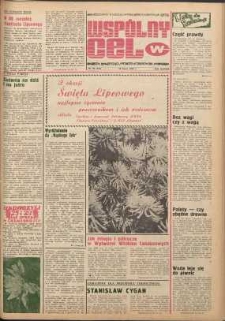 Wspólny cel : gazeta samorządu robotniczego Celwiskozy, 1980, nr 20 (791)