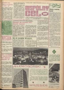 Wspólny cel : gazeta samorządu robotniczego Celwiskozy, 1980, nr 25 (796)