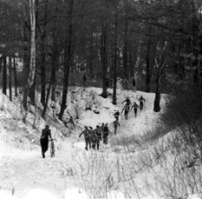 Przełajowe Grand Prix Jeleniej Góry o Puchar Przewodniczącego WKKFIT we Wrocławiu i o Puchar Dyrektora OSTIW w Jeleniej Górze (fot. 5) [Dokument ikonograficzny]