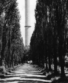 Jedwab Chodaków (fot. 2) [Dokument ikonograficzny]