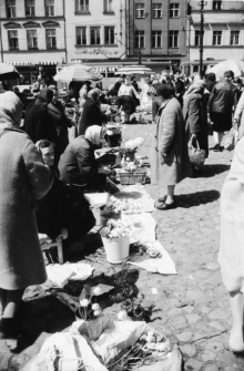 Toruń : rynek (fot. 1) [Dokument ikonograficzny]