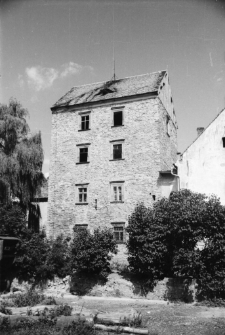 Pastuchów : wieża rycerska [Dokument ikonograficzny]