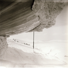 [Śnieżka zimą] (fot. 4) [Dokument ikonograficzny]