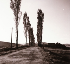 Droga do Siedlęcina (fot. 1) [Dokument ikonograficzny]