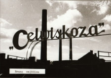 [Jelenia Góra - Celwiskoza] (fot. 8) [Dokument ikonograficzny]