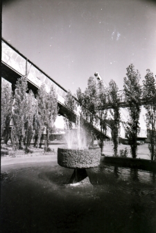 [Jelenia Góra - Celwiskoza] (fot. 30) [Dokument ikonograficzny]