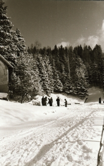 [Karpacz - tor bobslejowy] (fot. 13) [Dokument ikonograficzny]