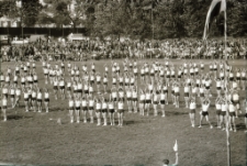[Jelenia Góra - Pokazy na stadionie miejskim] (fot. 3) [Dokument ikonograficzny]