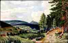 Am Wege von Hain nach Saalberg [Dokument ikonograficzny]