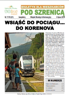 Pod Szrenicą : miejski biuletyn informacyjny : biuletyn dla mieszkańców, 2010, nr 11 (51) [Dokument elektroniczny]