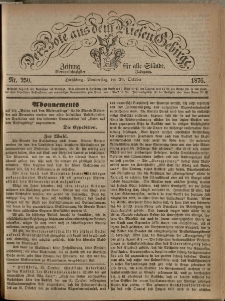 Der Bote aus dem Riesen-Gebirge : Zeitung für alle Stände, R. 64, 1876, nr 250