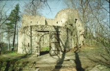 Zamek Bolczów (fot. 1) [Dokument ikonograficzny]