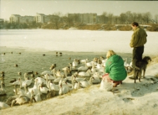 Jelenia Góra : staw im. Mickiewicza (fot. 1) [Dokument ikonograficzny]