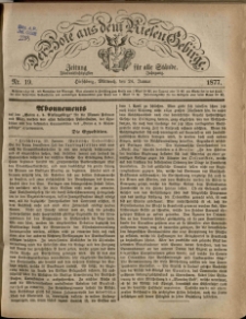Der Bote aus dem Riesen-Gebirge : Zeitung für alle Stände, R. 65, 1877, nr 19