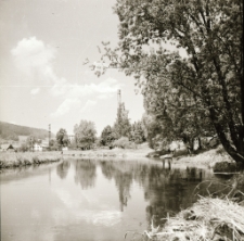 Jelenia Góra : Celwiskoza (fot. 31) [Dokument ikonograficzny]