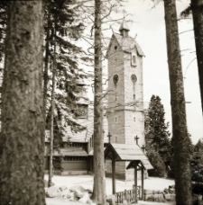 Karpacz : Świątynia Wang (fot. 4) [Dokument ikonograficzny]