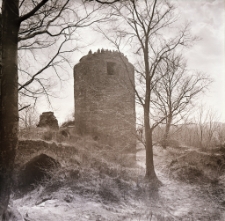 Zamek Wleń (fot. 1) [Dokument ikonograficzny]