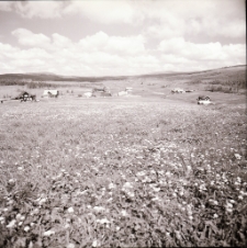 Góry Izerskie : Jizerka (fot. 1) [Dokument ikonograficzny]